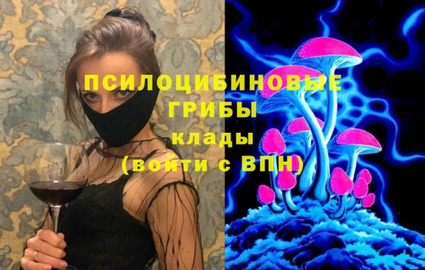 шишки Баксан